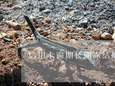 信用卡逾期长期冻结能销户吗