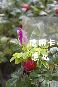 信用卡逾期開(kāi)失業(yè)證明怎么開(kāi)-網(wǎng)貸逾期了暫時(shí)還不上怎么辦