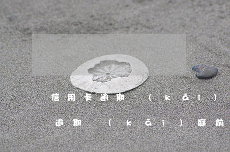 信用卡逾期開(kāi)庭前已還款(信用卡逾期開(kāi)庭前已還款能協(xié)商嗎)
