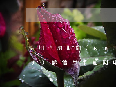 信用卡逾期開(kāi)庭怎么應(yīng)訴(信用卡逾期申請(qǐng)庭審)