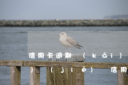 信用卡逾期開(kāi)庭能調(diào)節(jié)嗎(信用卡逾期開(kāi)庭了沒(méi)辦法出庭會(huì)怎么樣)