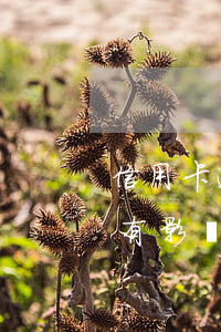 信用卡逾期開(kāi)網(wǎng)店有影響嗎知乎（信用卡逾期開(kāi)網(wǎng)店有影響嗎）