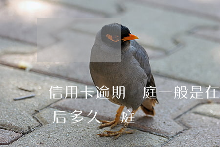 信用卡逾期開庭一般是在哪里(欠信用卡立案后多久開庭)