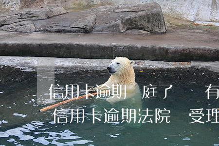 信用卡逾期開庭了還會有二審嗎(2020年信用卡逾期法院還受理起訴嗎)