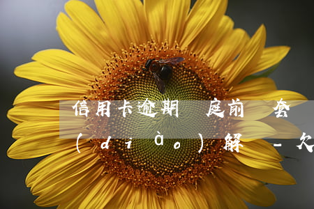 信用卡逾期開庭前帶套會(huì)組織調(diào)解嗎-欠信用卡開庭會(huì)直接扣人嗎