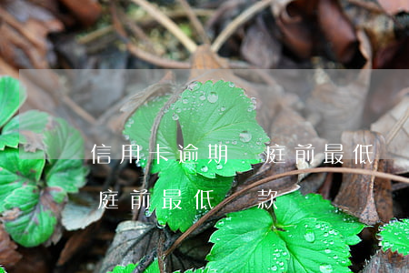 信用卡逾期開庭前最低還款-信用卡逾期開庭前最低還款