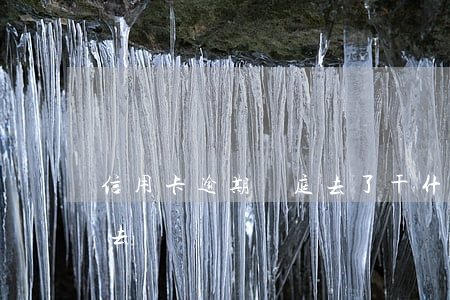 信用卡逾期開庭去了干什么(欠信用卡開庭沒去)