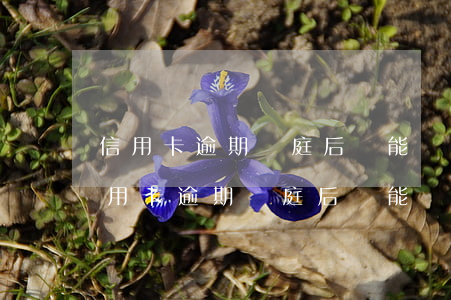 信用卡逾期開庭后還能協(xié)商嗎 信用卡逾期開庭后還能協(xié)商嗎?