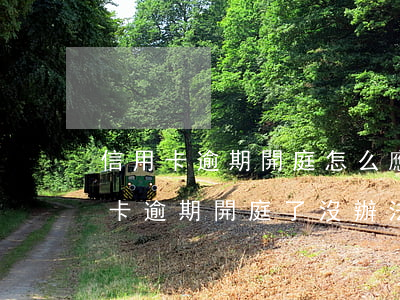 信用卡逾期開庭怎么應(yīng)對(信用卡逾期開庭了沒辦法出庭會怎么樣)