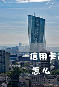信用卡逾期開庭怎么辦(欠信用卡被起訴開庭怎么辦)