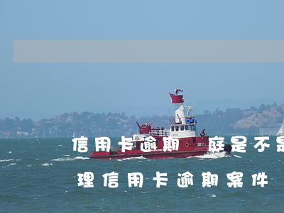 信用卡逾期開庭是不是代表立案了(法院會受理信用卡逾期案件嗎)