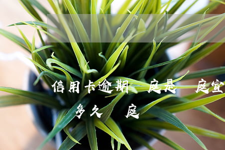 信用卡逾期開庭是當庭宣判嗎(欠信用卡被起訴多久開庭)