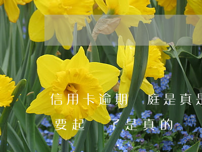 信用卡逾期開庭是真是假 短信說信用卡逾期要起訴了是真的嗎
