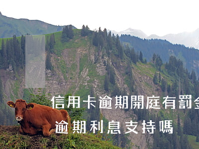 信用卡逾期開庭有罰金嗎(法院判信用卡逾期逾期利息支持嗎)