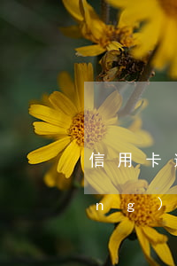 信用卡逾期開庭現(xiàn)場(chǎng)(欠信用卡法院開庭怎么處理)