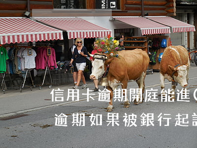 信用卡逾期開庭能進(jìn)廠嗎(信用卡逾期如果被銀行起訴多久會開庭)