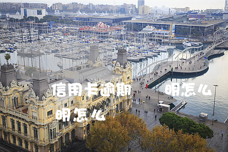 信用卡逾期開證明怎么開-信用卡逾期開證明怎么開