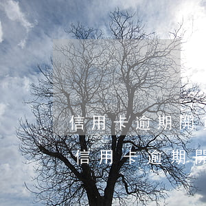 信用卡逾期開貧困證明自己弄個章可以嗎-信用卡逾期開貧困證明自己弄個章可以嗎安全嗎
