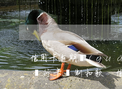 信用卡逾期關(guān)聯(lián)銀行卡強制扣款-信用卡逾期關(guān)聯(lián)銀行卡強制扣款怎么辦