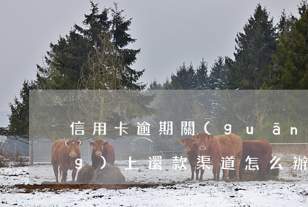信用卡逾期關(guān)閉了網(wǎng)上還款渠道怎么辦（信用卡逾期關(guān)閉了網(wǎng)上還款渠道）