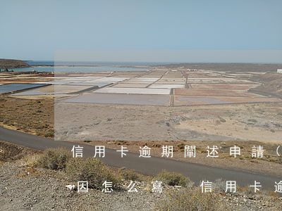 信用卡逾期闡述申請(qǐng)減免的原因怎么寫-信用卡逾期闡述申請(qǐng)減免的原因怎么寫啊