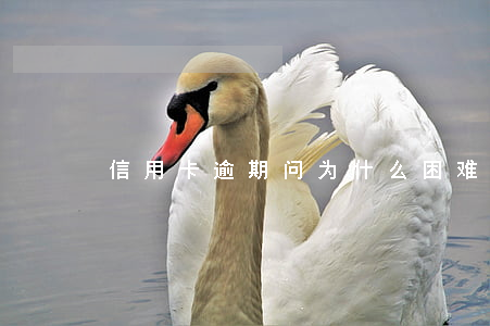 信用卡逾期问为什么困难(信用卡 逾期 后果)