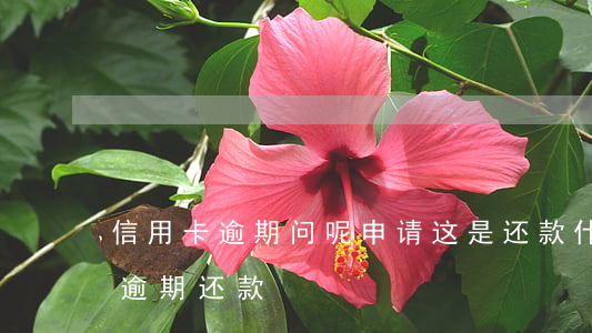 信用卡逾期问呢申请这是还款(什么叫信用卡逾期还款)