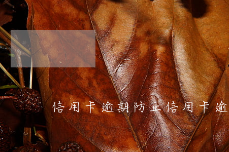 信用卡逾期防止(信用卡逾期防止爆通訊錄)