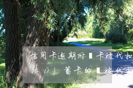 信用卡逾期附屬卡被代扣(信用卡逾期儲(chǔ)蓄卡的錢被代扣)