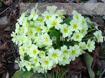 信用卡逾期降額-信用卡逾期降額度怎么辦