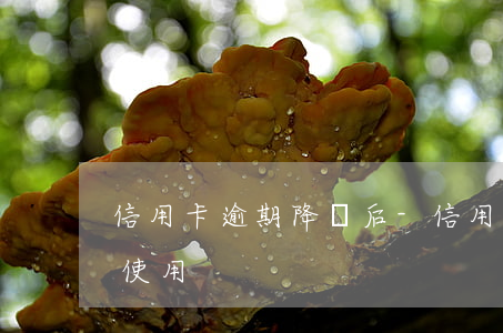 信用卡逾期降額后-信用卡逾期降額后無法使用