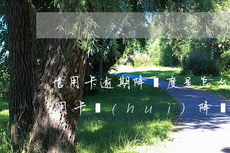 信用卡逾期降額度是怎么回事(貸款逾期后信用卡會(huì)降額嗎)