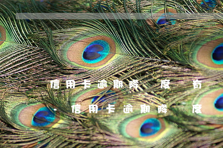 信用卡逾期降額度還有機(jī)會提額嗎-信用卡逾期降額度還有機(jī)會提額嗎知乎