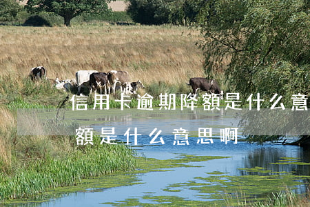 信用卡逾期降額是什么意思-信用卡逾期降額是什么意思啊