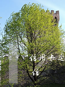 信用卡逾期降額短信圖片(信用卡逾期提醒短信)