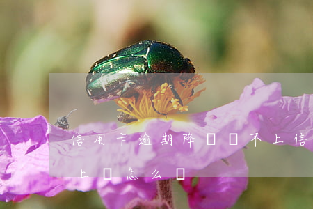 信用卡逾期降額還不上(信用卡逾期降額還不上會怎么樣)