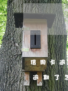 信用卡逾期限制了怎樣恢復(fù)(信用卡 逾期了怎么辦)