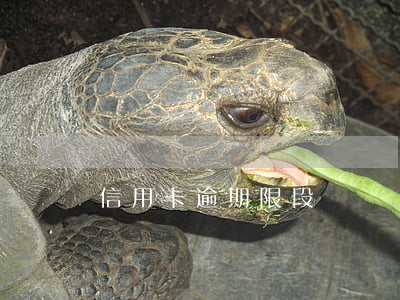 信用卡逾期限段