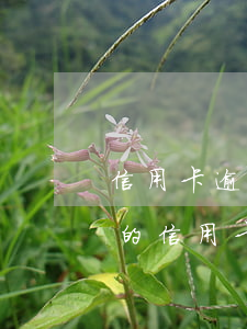 信用卡逾期陸續(xù)在還有事嗎-你們的信用卡逾期多久了