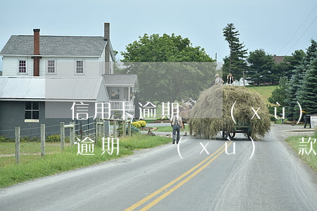 信用卡逾期陸續(xù)還款可以嗎(信用卡逾期陸續(xù)還款可以嗎)