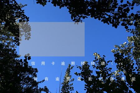 信用卡逾期陸陸續(xù)續(xù)有還款(有逾期還款記錄還能申請信用卡嗎)