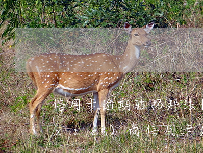 信用卡逾期雅拓邦法務(wù)(找律師協(xié)商信用卡逾期)