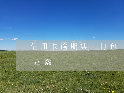 信用卡逾期集體打包訴訟(信用卡逾期被起訴立案)