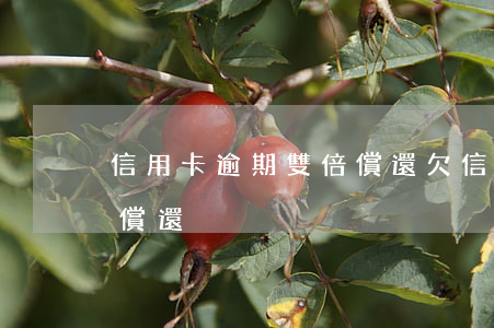 信用卡逾期雙倍償還(欠信用卡逾期7萬無力償還)
