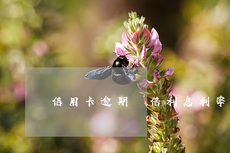 信用卡逾期雙倍利息利率達(dá)到多少