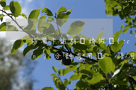 信用卡逾期離婚做財(cái)產(chǎn)分割有用嗎-信用卡逾期離婚做財(cái)產(chǎn)分割有用嗎安全嗎
