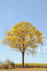 信用卡逾期離婚后影響孩子嗎(離婚了信用卡逾期會(huì)影響孩子嗎)