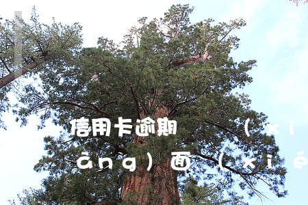 信用卡逾期電話協(xié)商還是當(dāng)面協(xié)商-信用卡逾期電話協(xié)商還是當(dāng)面協(xié)商還款