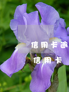 信用卡逾期需全額還款(逾期還清后還能使用信用卡嗎)