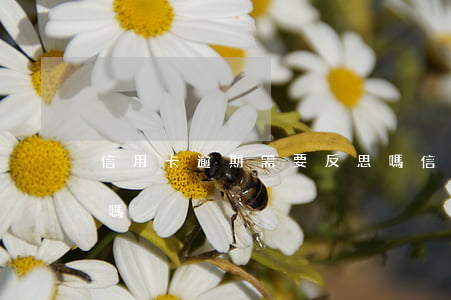 信用卡逾期需要反思嗎(信用卡逾期后果嚴重嗎)